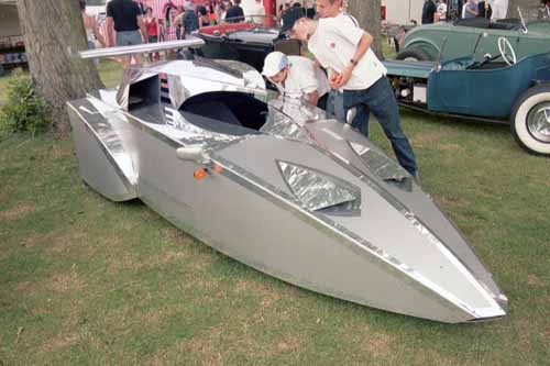 wild-based on Reliant robin