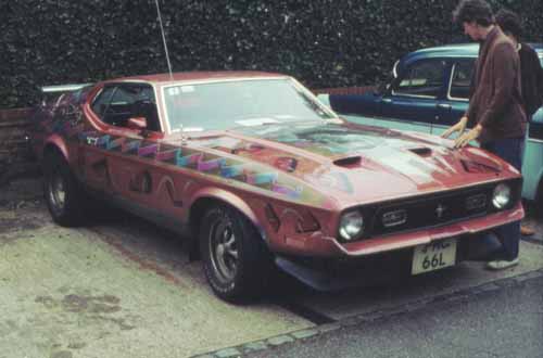 Wild paint on Mach I