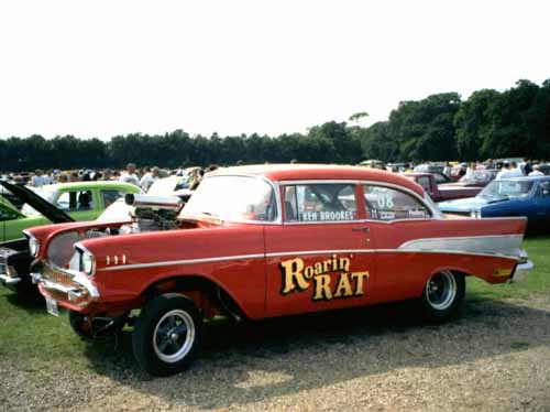 Roaring Rat