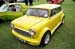 Chopped Mini