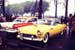 Yellow T Bird