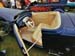 cool 32 zipper interior
